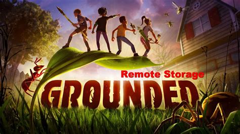 grounded nexus|Grounded Nexus .